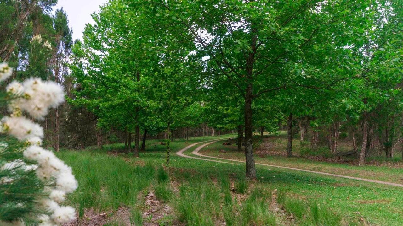 Arum Hill Lodge Balgowan Kültér fotó