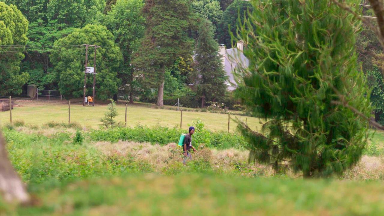 Arum Hill Lodge Balgowan Kültér fotó